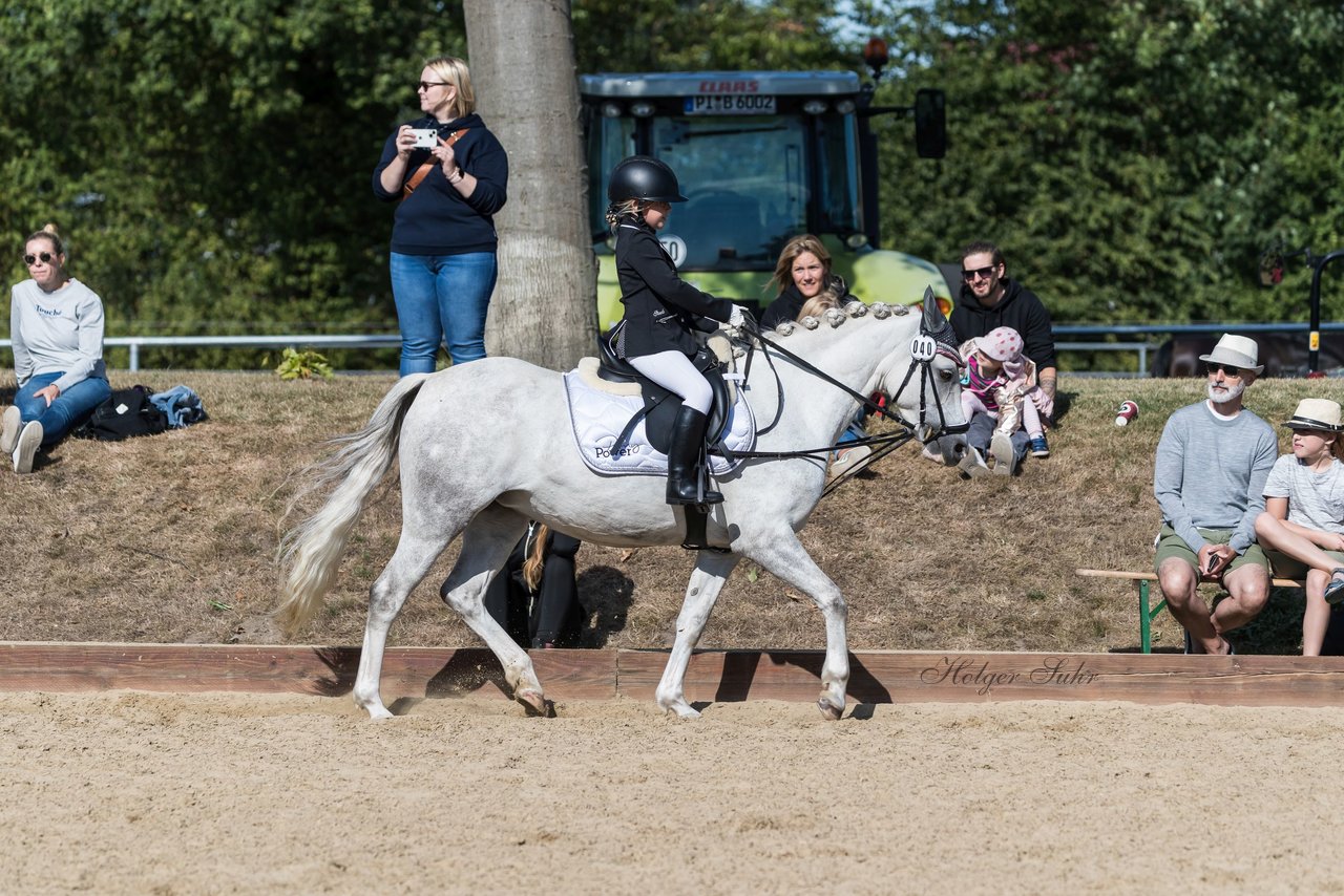 Bild 69 - Pony Akademie Turnier